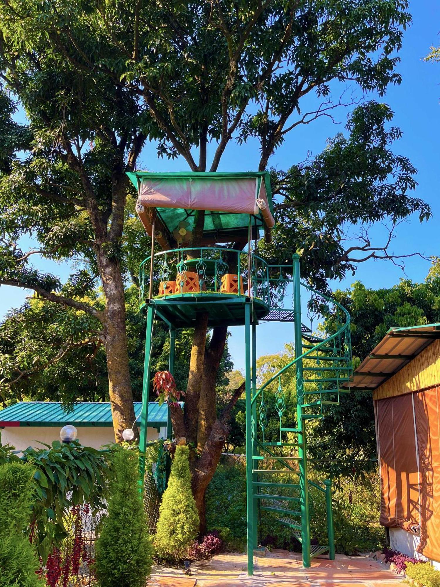 Hotel O Royal Tree Cafe And Resort Дехрадун Экстерьер фото